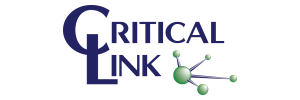 Critical Link LLC