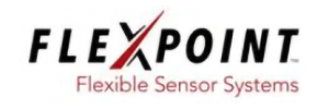 FlexPoint