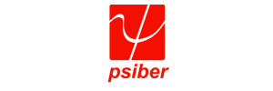 Psiber Data Systems, Inc.