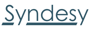 Syndesy Technologies, Inc.